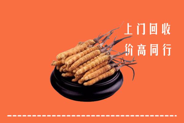附近收购：鞍山市冬虫夏草回收多少钱每克